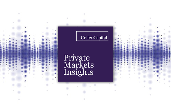Private Markets Insights: Current Dynamics and Opportunities