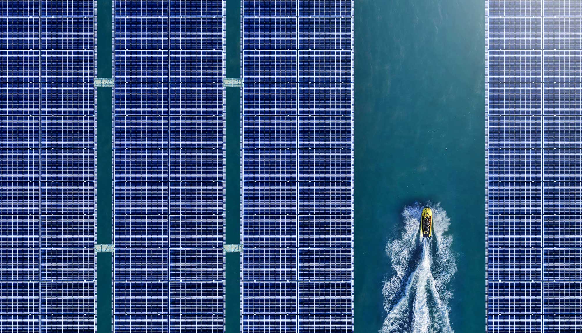 Coller Capital’s 2024 ESG Report