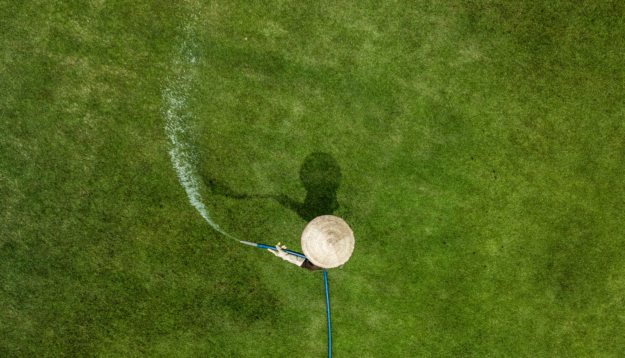 Person in a conical hat watering green grass in a vibrant field.
