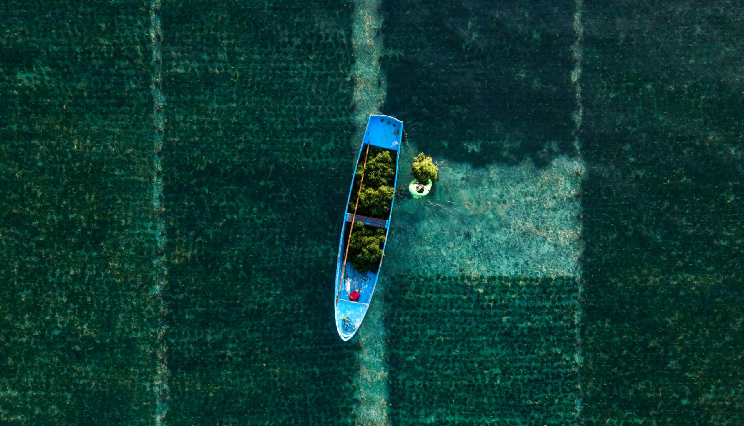 Coller Capital’s 2024 ESG Report