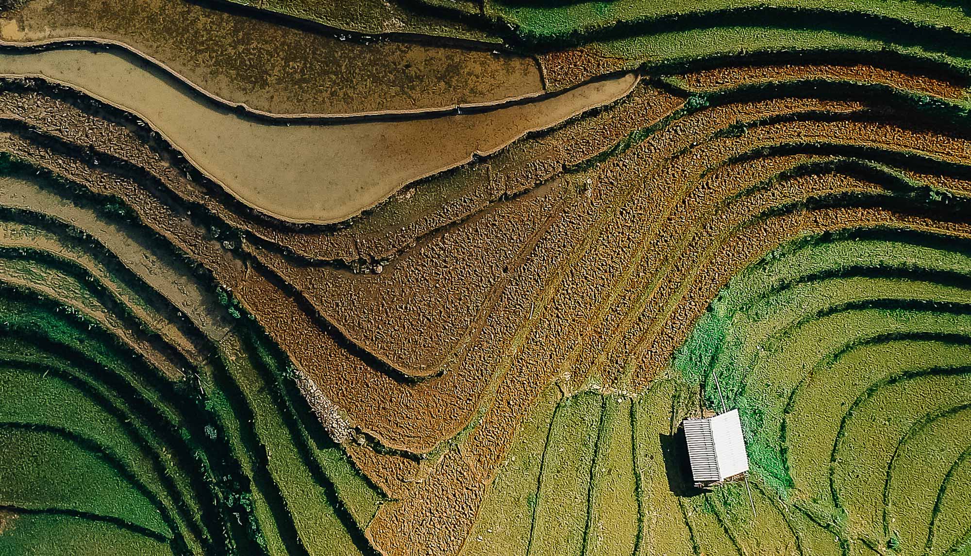 Coller Capital’s 2024 ESG Report