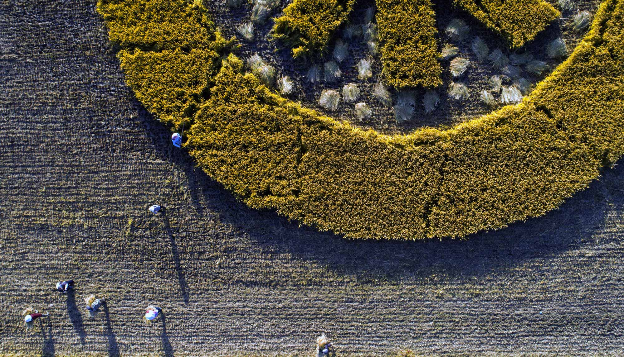 Coller Capital’s 2024 ESG Report