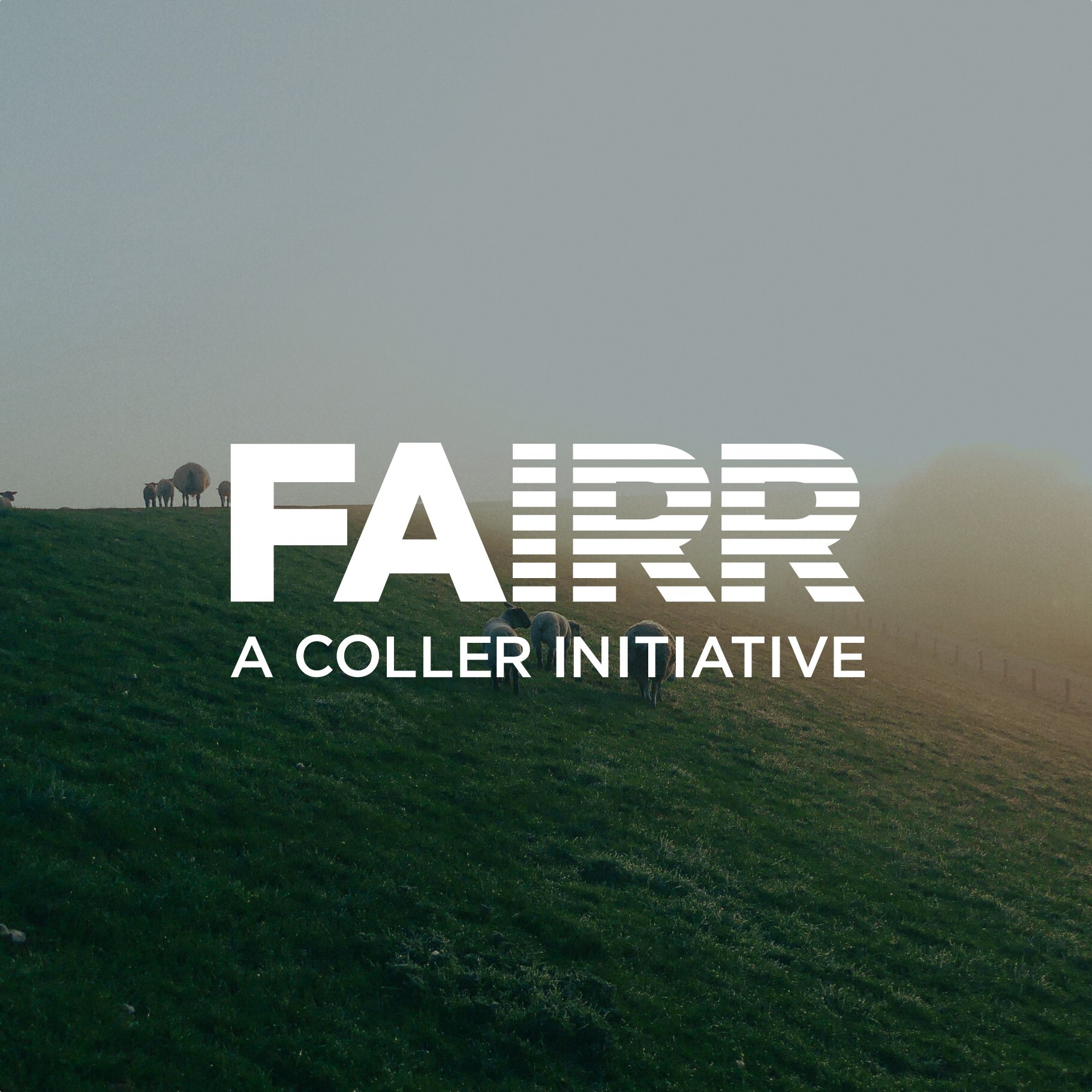 FAIRR initiative logo.