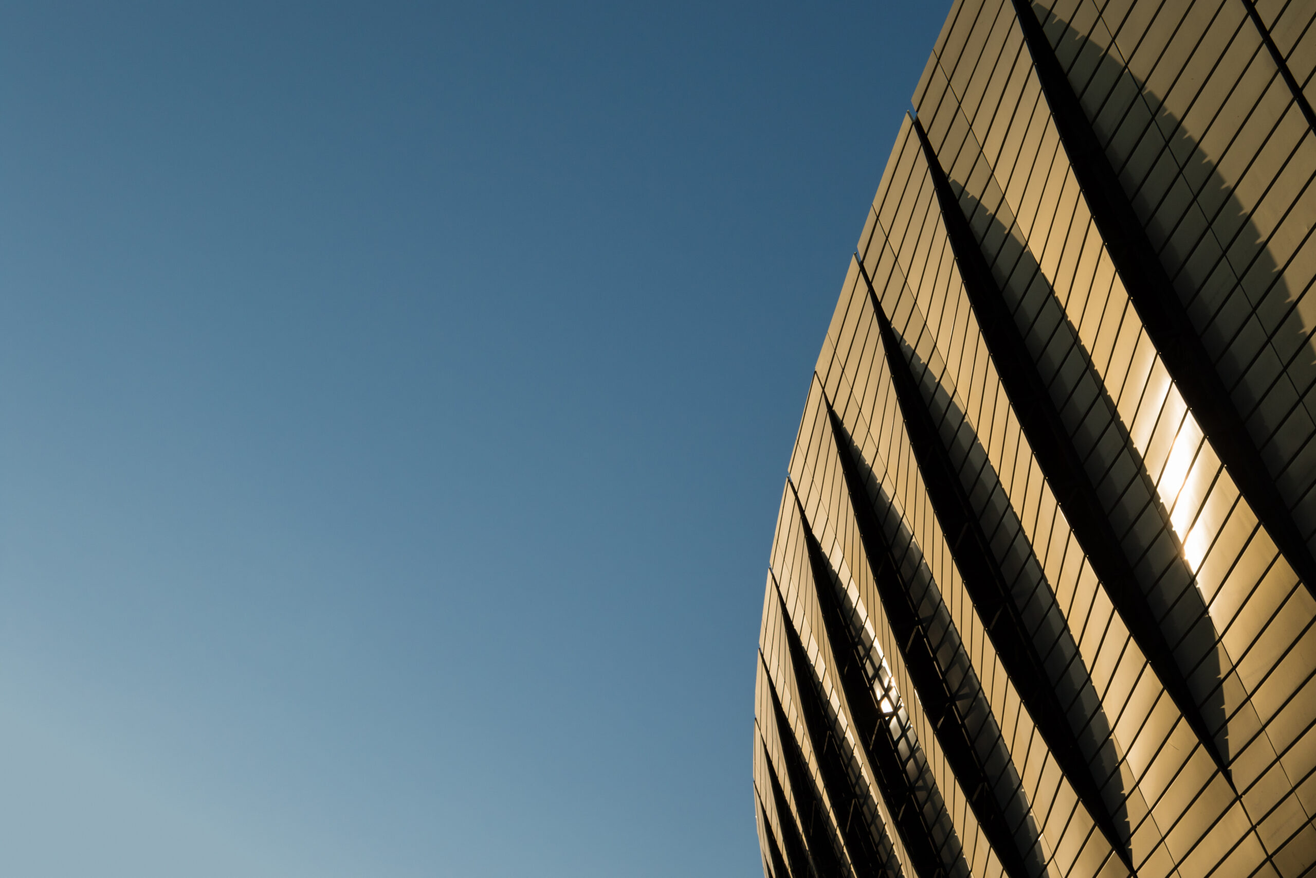 Where we see opportunity in the year ahead